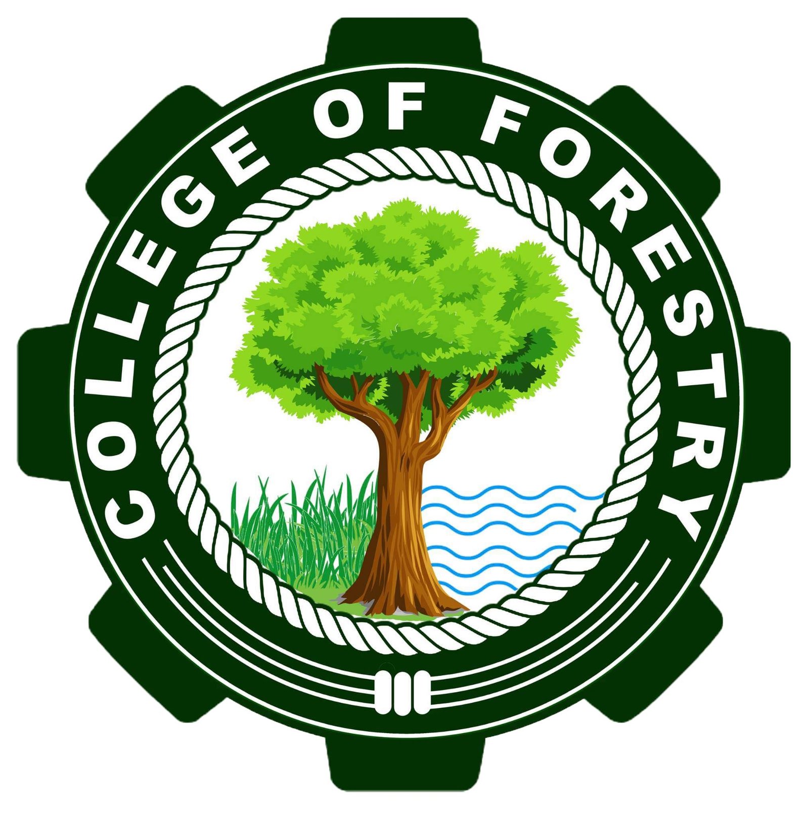 College of Forestry